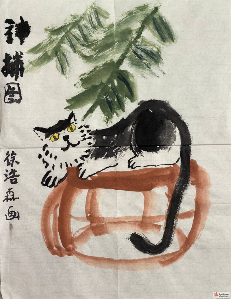 ����ͼ�����ɭ2020��3��